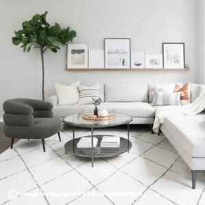 Accent Chair (KF-AC-006)